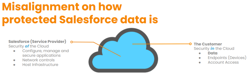 Salesforce data protection